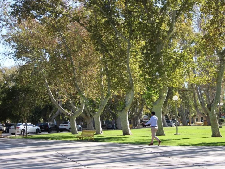 Martes cálido antes del ingreso de un frente que cambiará las condiciones del tiempo Martes cálido antes del ingreso de un frente que cambiará las condiciones del tiempo