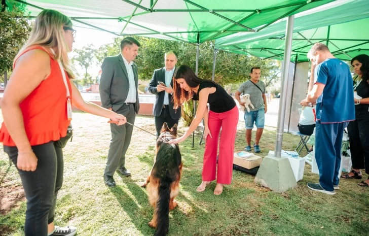 En sólo 3 días lograron esterilizar a 80 mascotas