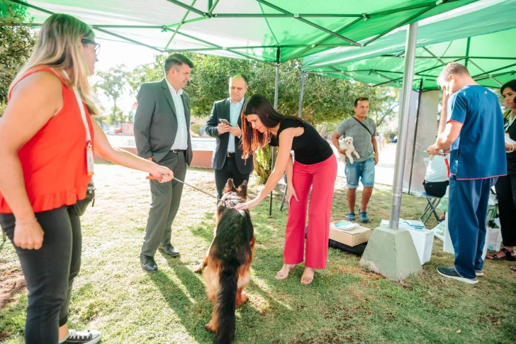 En sólo 3 días lograron esterilizar a 80 mascotas