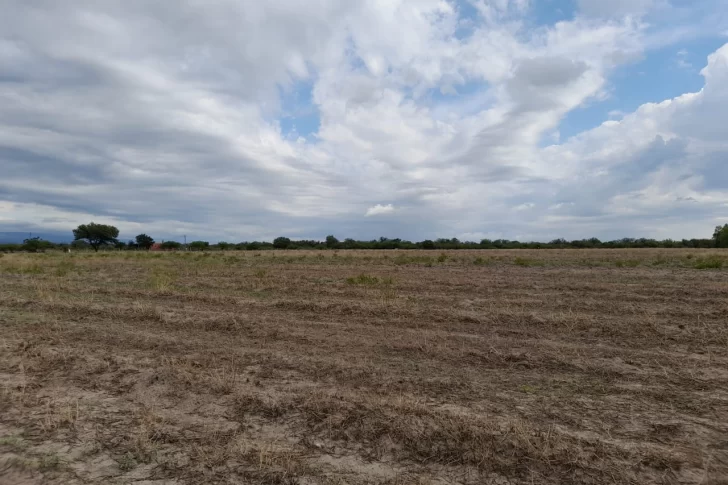 Valle Fértil también soporta una grave y prolongada crisis hídrica