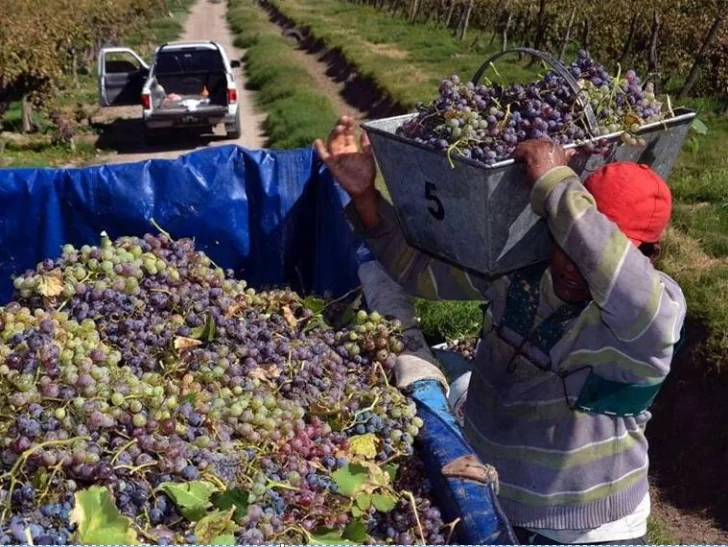 Banco San Juan lanzó una línea de créditos de hasta $100 millones para productores vitivinícolas Banco San Juan lanzó una línea de créditos de hasta $100 millones para productores vitivinícolas