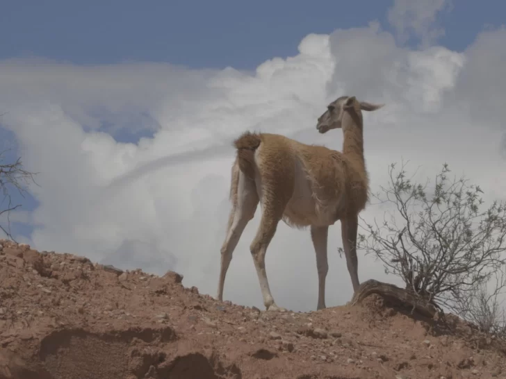 Misterios de un valle infinito Misterios de un valle infinito