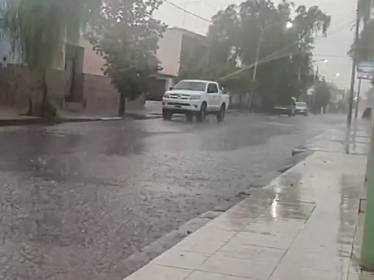 Intensa lluvia en Jáchal provocó calles anegadas, caminos con material de arrastre y árboles caídos Intensa lluvia en Jáchal provocó calles anegadas, caminos con material de arrastre y árboles caídos