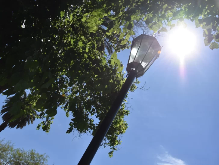 El calor no da tregua: la máxima llegará a los 37 grados El calor no da tregua: la máxima llegará a los 37 grados