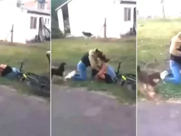 Una quinceañera fue apuñalada por otra adolescente que la emboscó cuando iba a comprar a un almacén Una quinceañera fue apuñalada por otra adolescente que la emboscó cuando iba a comprar a un almacén