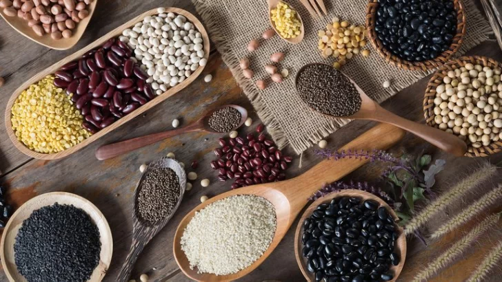 De buena semilla De buena semilla