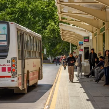 Colectivos: prorrogaron la renovación de credenciales estudiantiles y docentes Colectivos: prorrogaron la renovación de credenciales estudiantiles y docentes