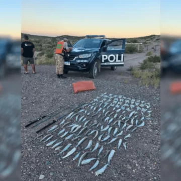 Sanjuanino fue multado en Mendoza por pescar más de 100 pejerreyes sin permiso de pesca Sanjuanino fue multado en Mendoza por pescar más de 100 pejerreyes sin permiso de pesca