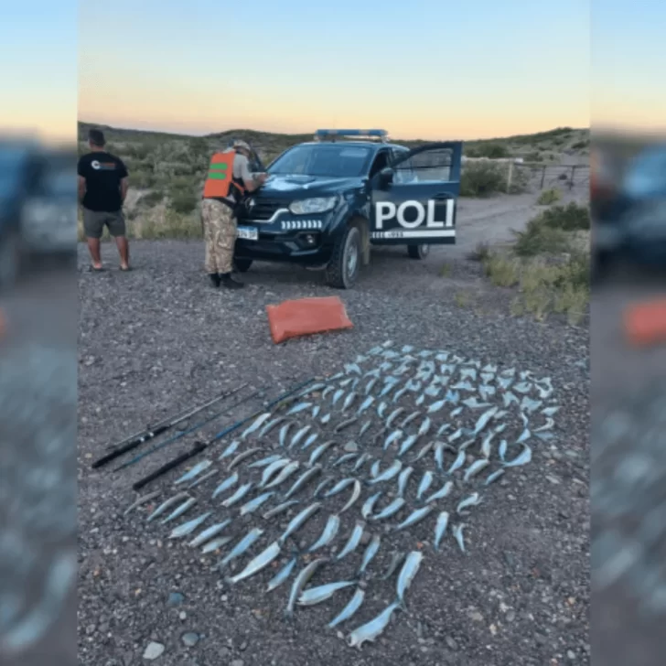 Sanjuanino fue multado en Mendoza por pescar más de 100 pejerreyes sin permiso de pesca Sanjuanino fue multado en Mendoza por pescar más de 100 pejerreyes sin permiso de pesca