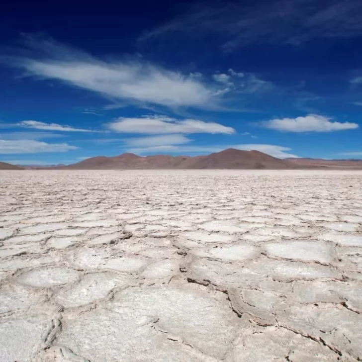 Catamarca: ordenan paralizar la extracción de litio tras la queja de un cacique porque un río se secó