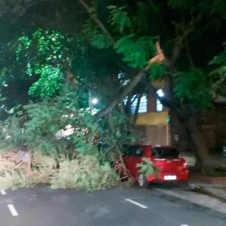 Árboles caídos, calles anegadas y vuelos desviados: las consecuencias del fuerte temporal