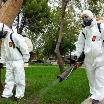 Dengue en San Juan: ascienden a 56 los casos y reconocen que “todavía no se llega al pico”