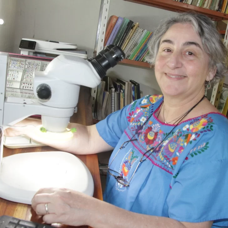 Del Reino Unido a investigar en San Juan Del Reino Unido a investigar en San Juan