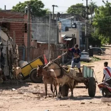 Un informe reveló que 7 de cada 10 niños que asisten a escuelas públicas son pobres Un informe reveló que 7 de cada 10 niños que asisten a escuelas públicas son pobres