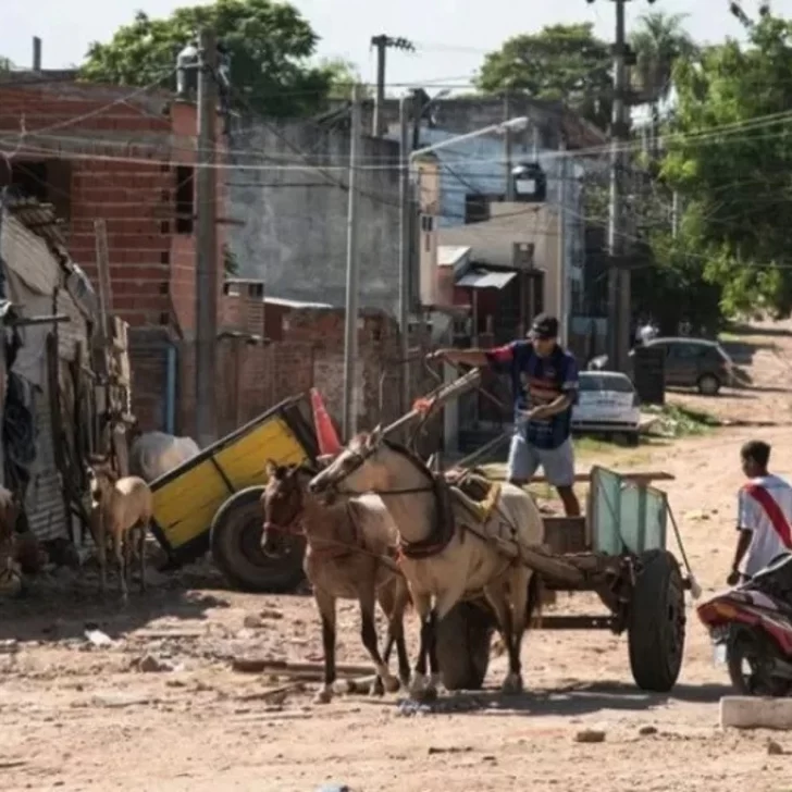 Un informe reveló que 7 de cada 10 niños que asisten a escuelas públicas son pobres Un informe reveló que 7 de cada 10 niños que asisten a escuelas públicas son pobres