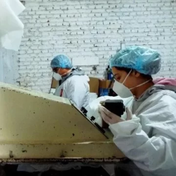 Gobierno lanza $100 millones en microcréditos y capacitaciones a emprendedoras Gobierno lanza $100 millones en microcréditos y capacitaciones a emprendedoras