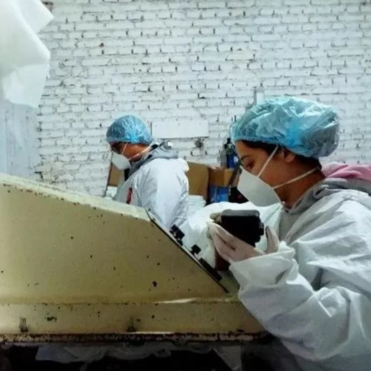 Gobierno lanza $100 millones en microcréditos y capacitaciones a emprendedoras Gobierno lanza $100 millones en microcréditos y capacitaciones a emprendedoras