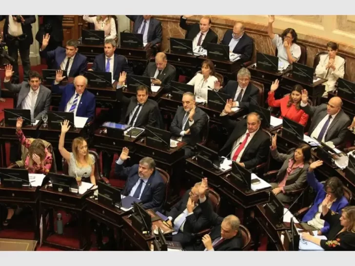Golpe político al Gobierno: el Senado rechazó el mega DNU Golpe político al Gobierno: el Senado rechazó el mega DNU