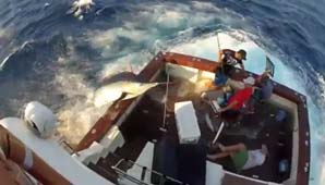 Duro de pescar Duro de pescar