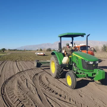 Los Gaita avanzan en producción y colocación de tepes de césped