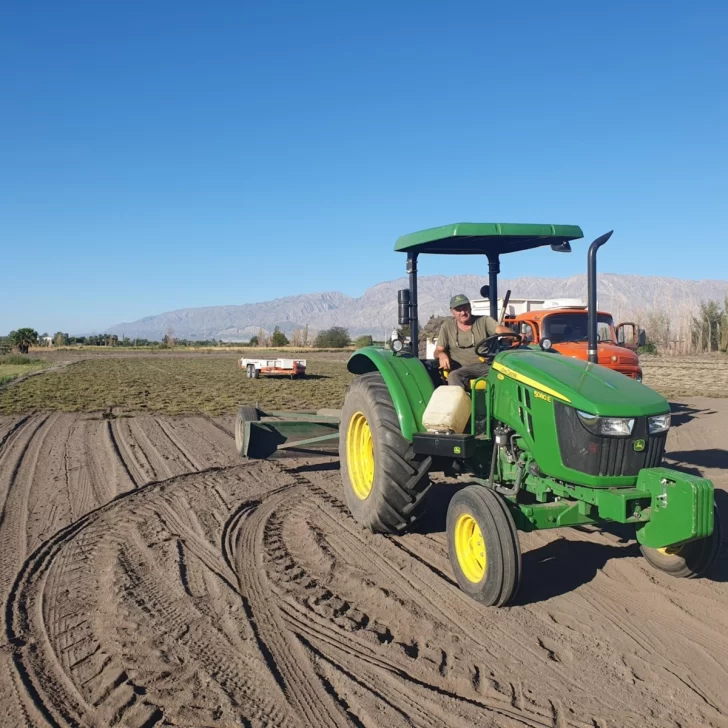 Los Gaita avanzan en producción y colocación de tepes de césped