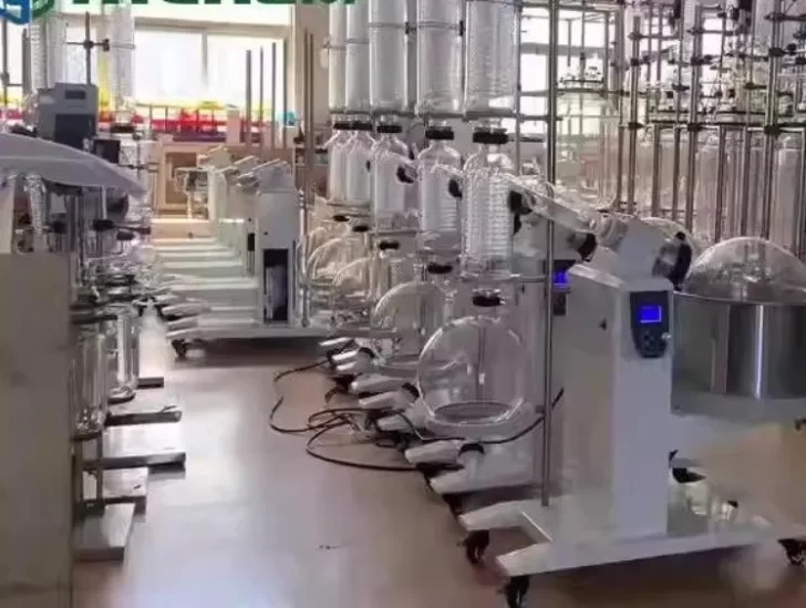 f2p3_verde_crop1711759764776_crop1711759888721.jpg_2060949803-728x549