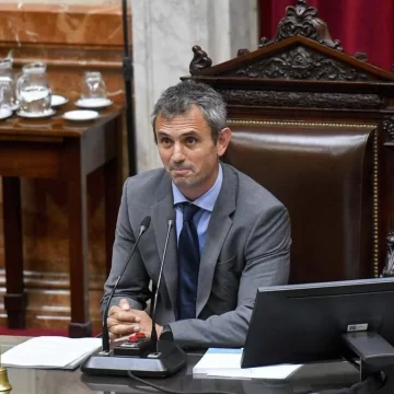 Martín Menem criticó a los senadores que rechazaron el DNU