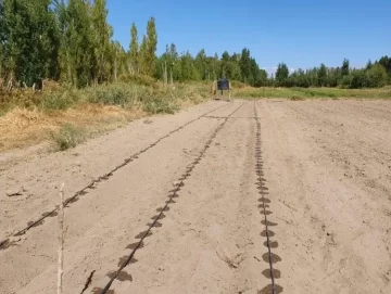 f2p6_verde_crop1711758674578.jpg_2061873324-728x548