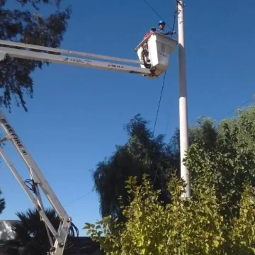 Unifican dependencias municipales con Internet en 9 de Julio Unifican dependencias municipales con Internet en 9 de Julio