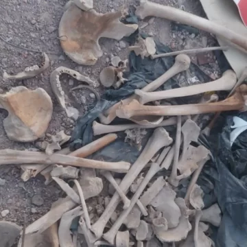 Hallaron restos óseos en una planta recicladora de Calingasta y abrieron una investigación