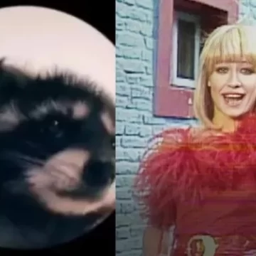 Cuál es el origen del video viral que reúne a un mapache y a Raffaella Carrà Cuál es el origen del video viral que reúne a un mapache y a Raffaella Carrà