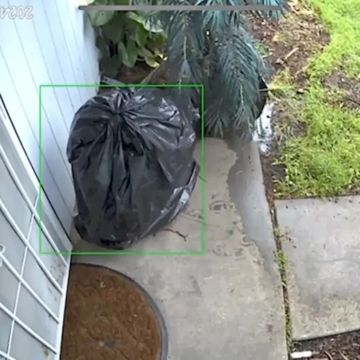 Se disfraza de bolsa de basura para robar paquetes sin que lo vean Se disfraza de bolsa de basura para robar paquetes sin que lo vean
