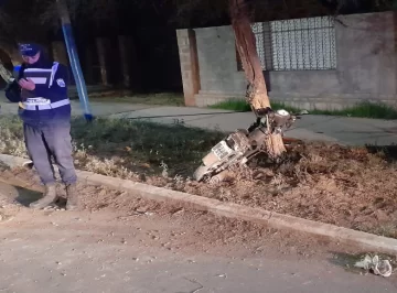 Chocó con un árbol y quedó grave, con un intestino perforado