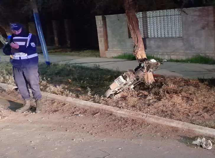 Chocó con un árbol y quedó grave, con un intestino perforado