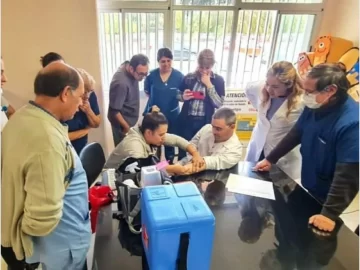 Los casos de tuberculosis se mantienen igual a partir de la pospandemia Los casos de tuberculosis se mantienen igual a partir de la pospandemia