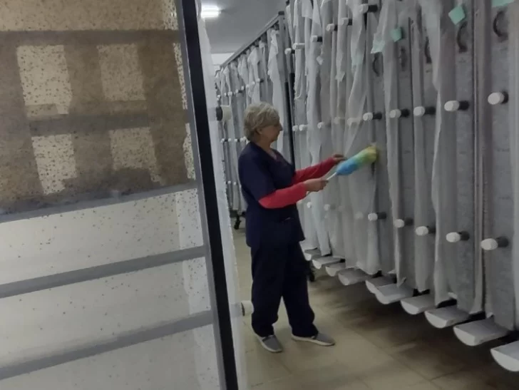 Biotecnología versus mosca de los frutos: el laboratorio donde “fabrican” insectos