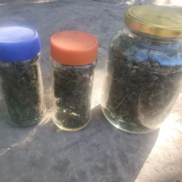 Hallan marihuana en un rancho cuando perseguían a un “sospechoso” y detienen a un sujeto Hallan marihuana en un rancho cuando perseguían a un “sospechoso” y detienen a un sujeto