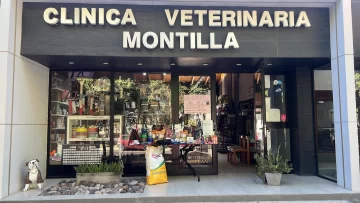 Una reconocida veterinaria en San Juan donará $400.000 a los rescatistas en honor al Día del animal