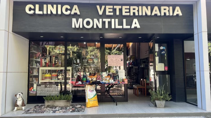 Una reconocida veterinaria en San Juan donará $400.000 a los rescatistas en honor al Día del animal Una reconocida veterinaria en San Juan donará $400.000 a los rescatistas en honor al Día del animal