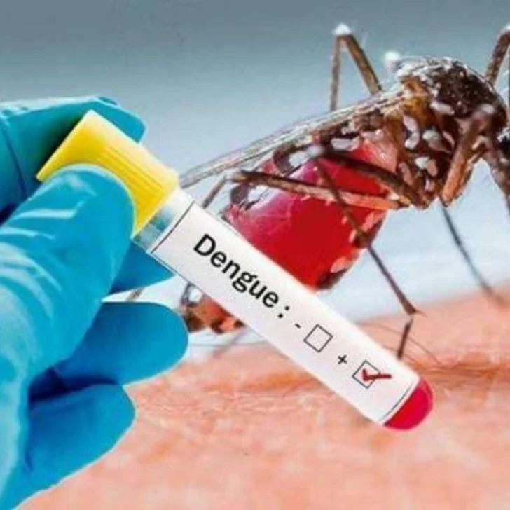 En una semana aumentó un 30% la cantidad de afectados de dengue en San Juan