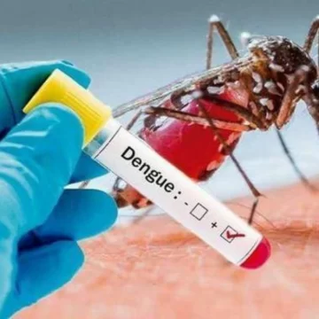 Dengue: se reportaron 63.399 contagios y 42 muertos en la última semana