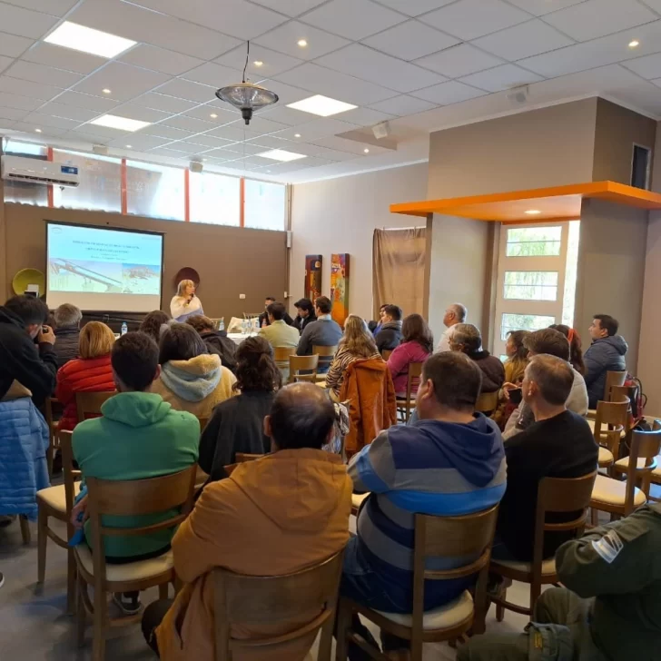 Glencore Pachón informó a la comunidad acerca de la construcción de un puente sobre el Río Los Patos Glencore Pachón informó a la comunidad acerca de la construcción de un puente sobre el Río Los Patos