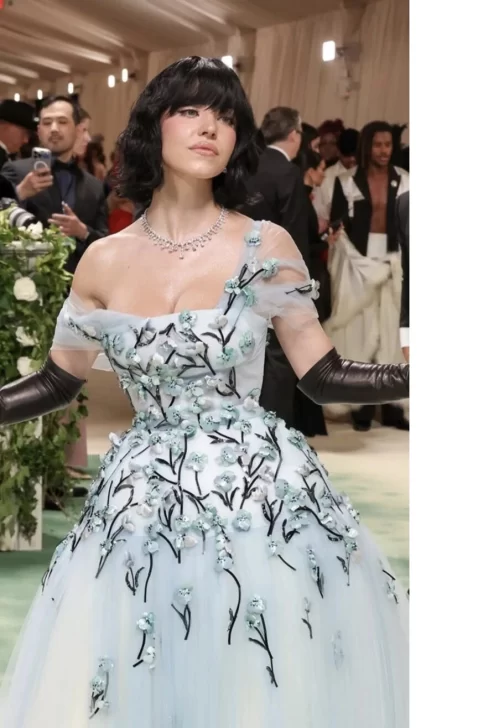 13-478x728 13-478x728