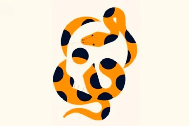 Según lo que veas primero, revela si sos una persona elocuente Según lo que veas primero, revela si sos una persona elocuente