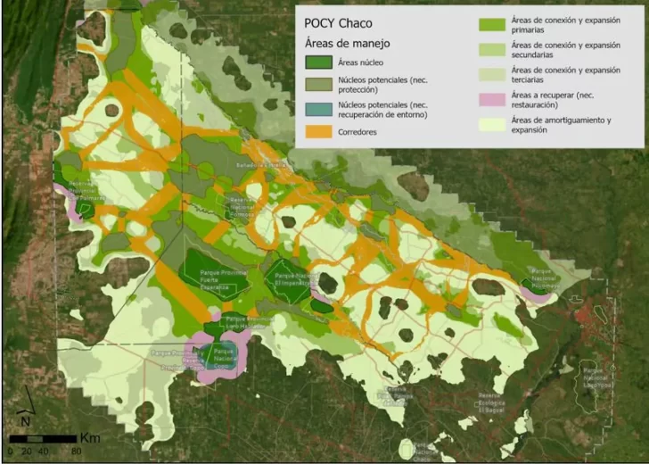 6b9f4dc9-f988-46d8-ac42-0d6d46cc1906-728x520