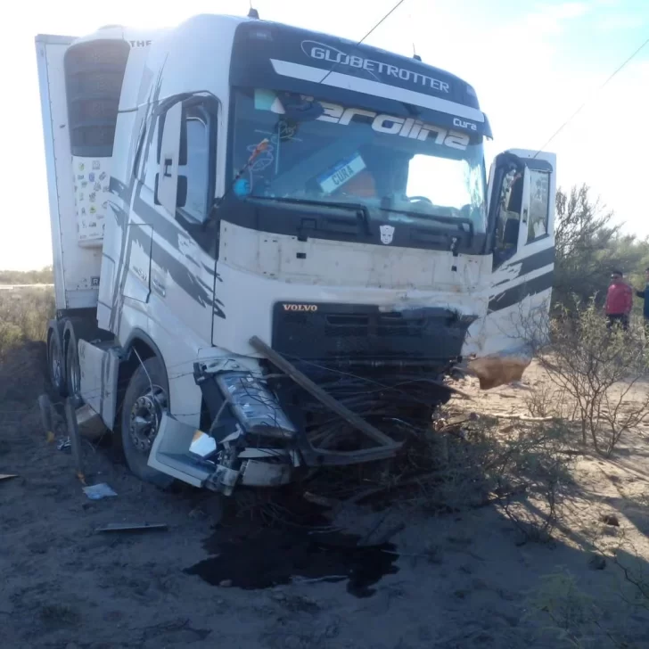 8d155cd7-fd7e-4feb-a963-d239fbd13981-728x728 8d155cd7-fd7e-4feb-a963-d239fbd13981-728x728