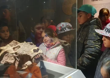 DCC200524-004F04-728x516