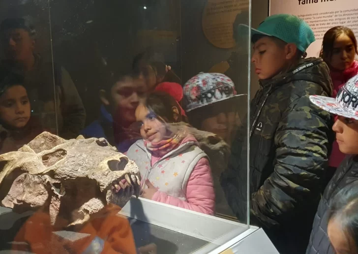 DCC200524-004F04-728x516