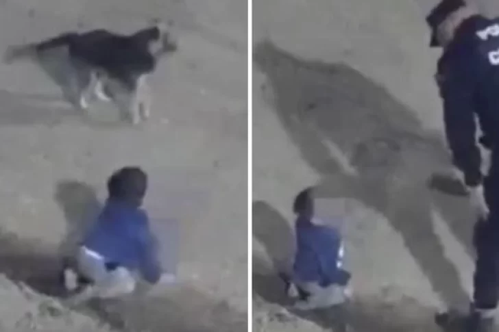 La insólita explicación de los padres del bebé que gateaba solo por la calle