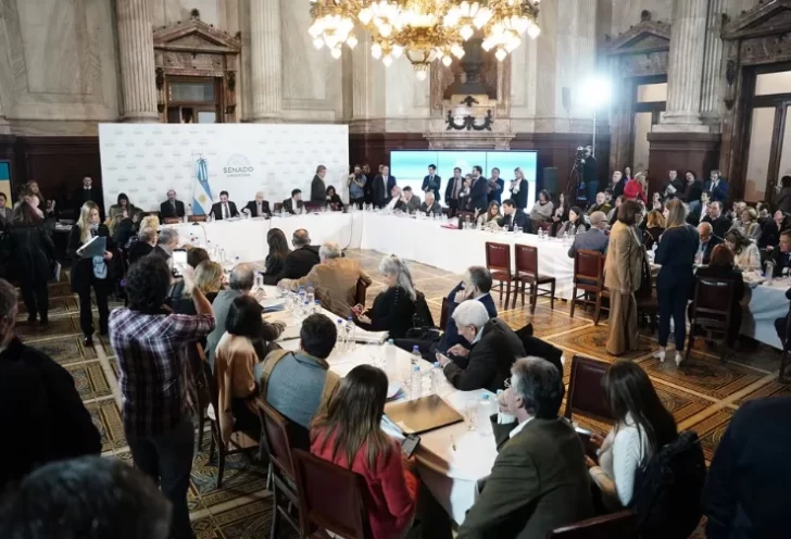 Tras una jornada maratónica, el Gobierno anunció que consiguió dictamen para la Ley Bases Tras una jornada maratónica, el Gobierno anunció que consiguió dictamen para la Ley Bases